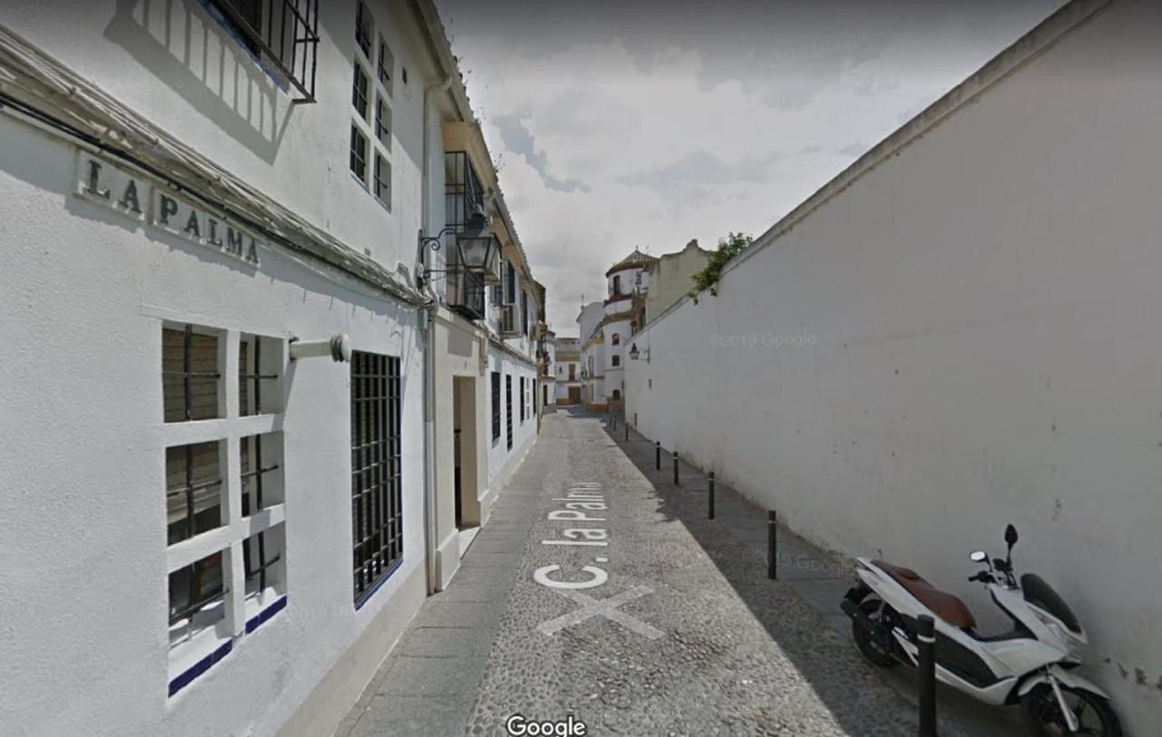 Apartamento La Palma Διαμέρισμα Κόρδοβα Εξωτερικό φωτογραφία